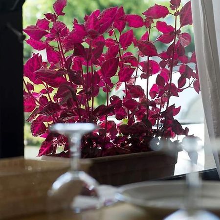 Hotel Annarita Rimini Ngoại thất bức ảnh
