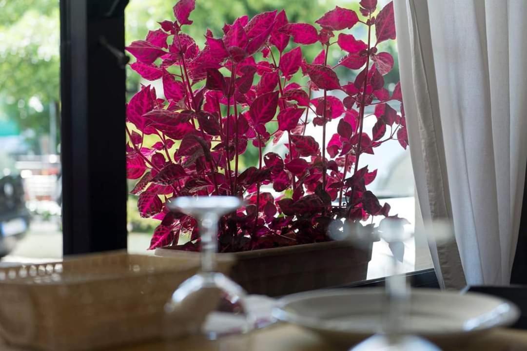 Hotel Annarita Rimini Ngoại thất bức ảnh
